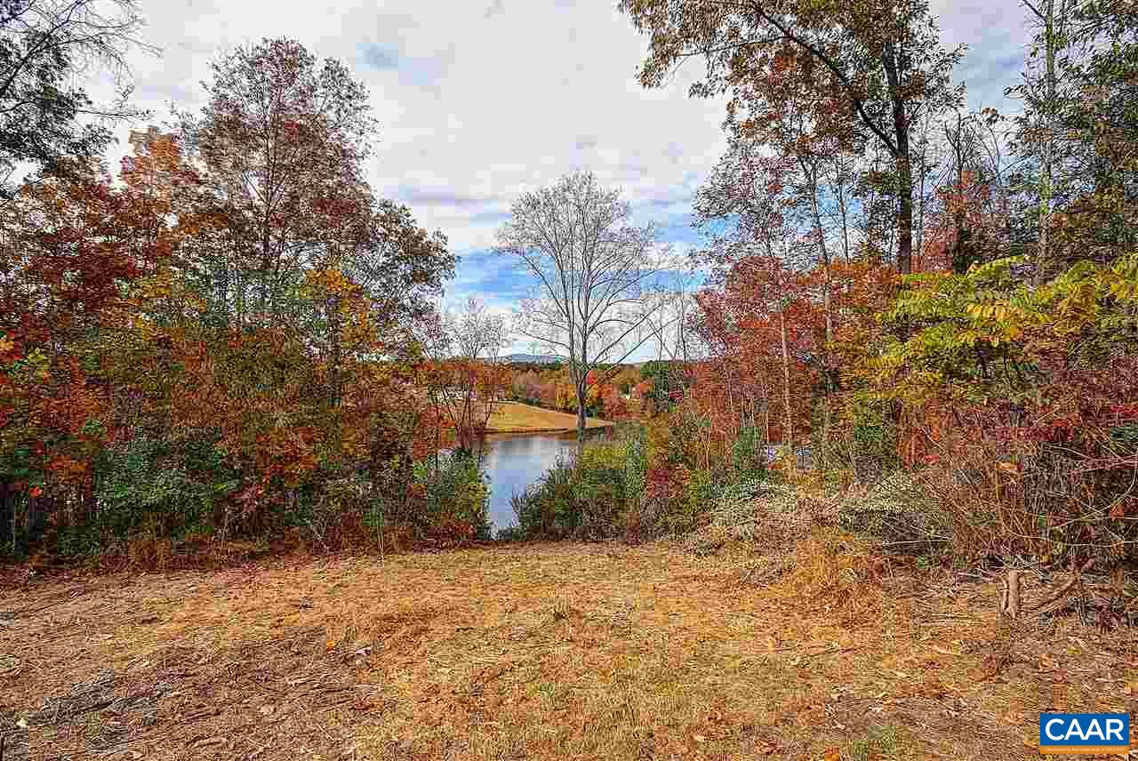 716 Jonquil Road Ruckersville, VA 22968 - Photo 18 of 21 a view of a yard with plants and trees