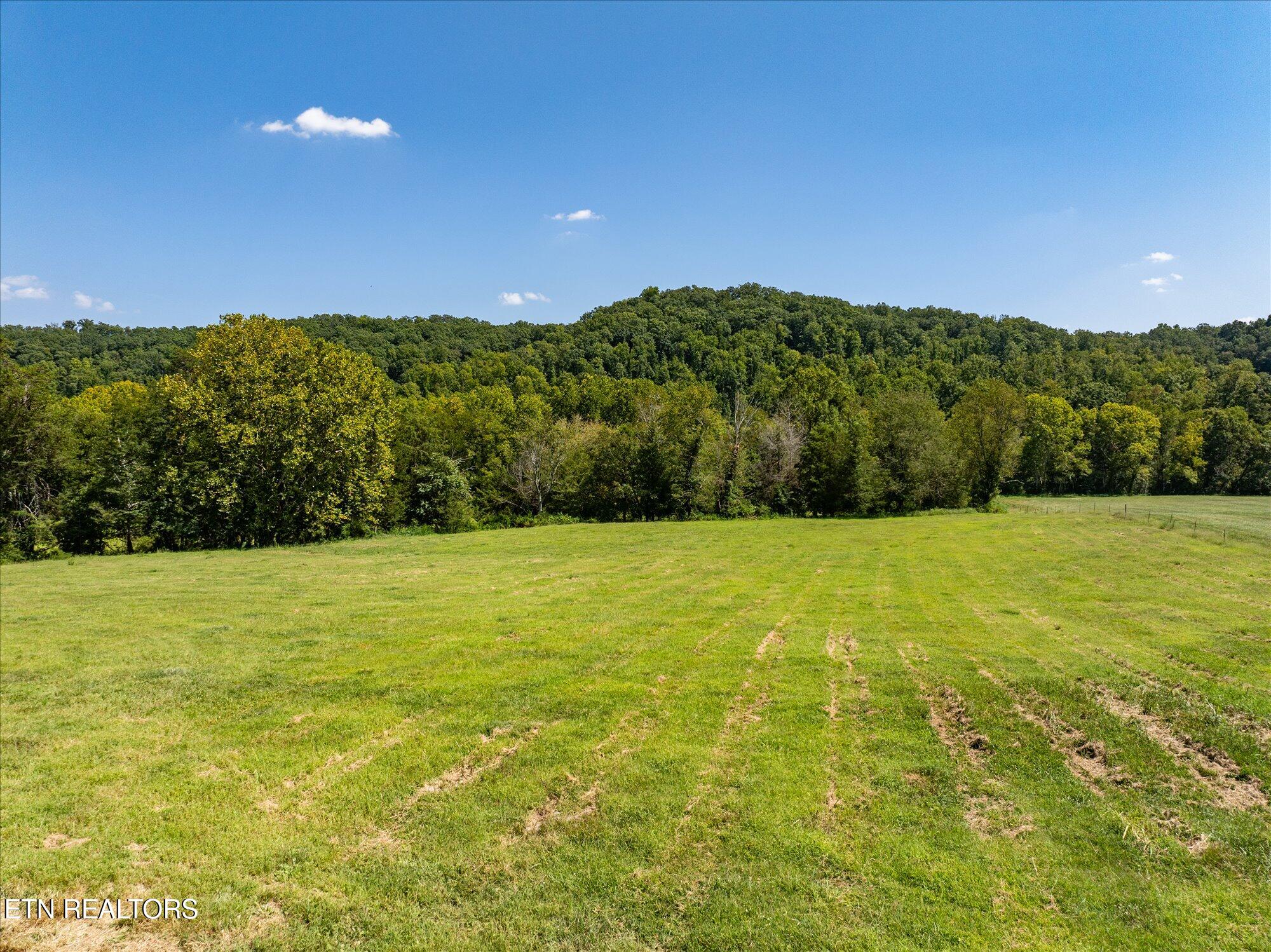 701 Paint Rock Valley Road Philadelphia, TN 37846 - Photo 46 of 54 46-701-Paint-Rock-Valley-Rd-Philadelphia