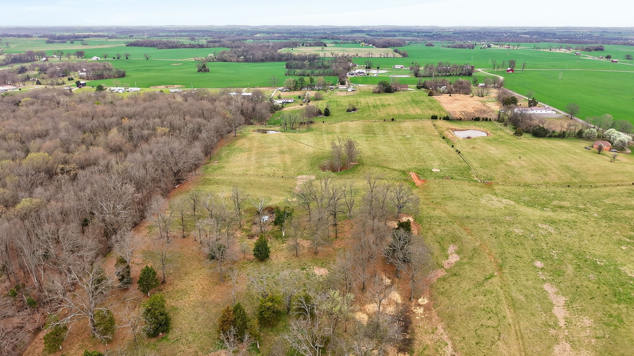 5954 Valley Road Springfield, TN 37172 - Photo 24 of 43