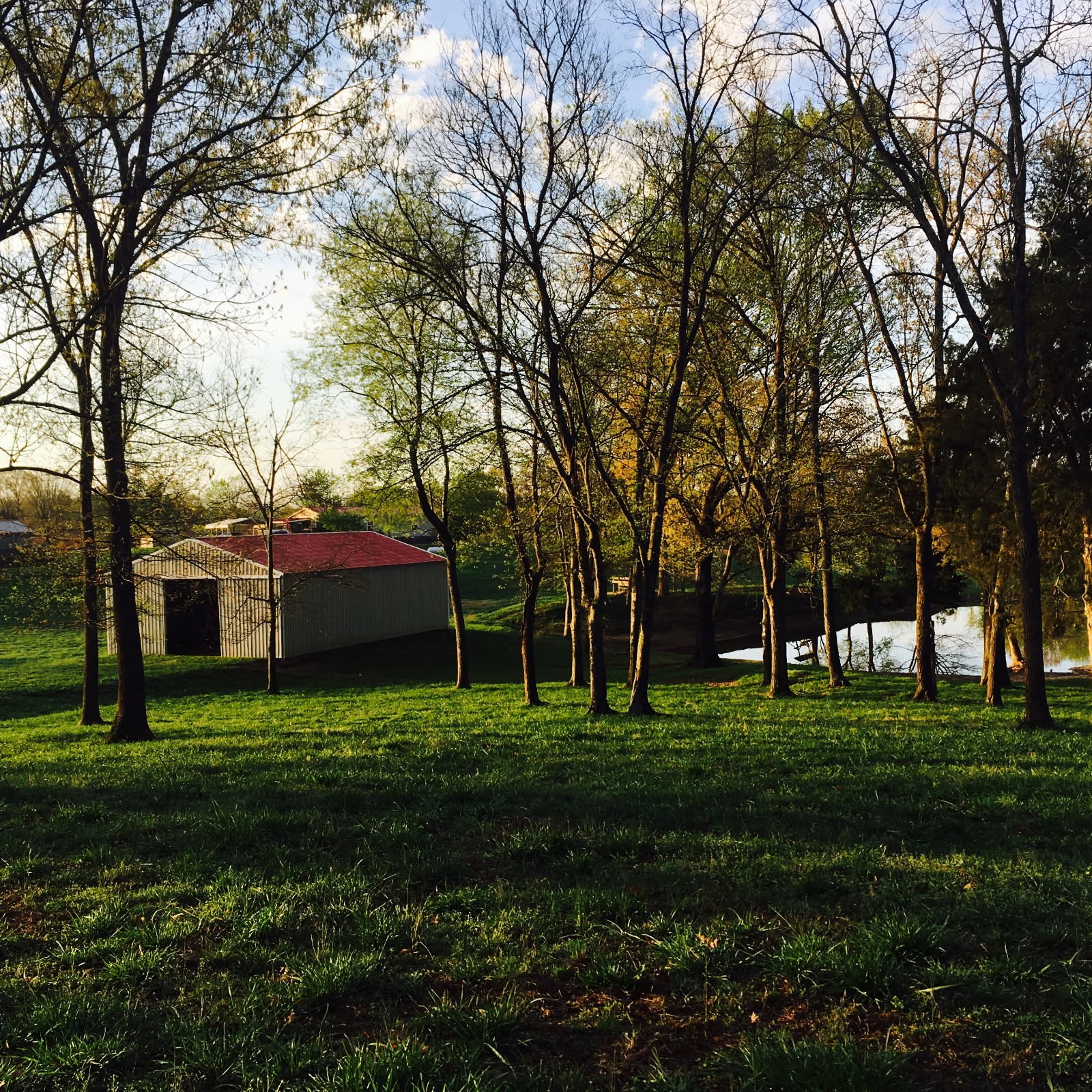 5954 Valley Road Springfield, TN 37172 - Photo 3 of 43