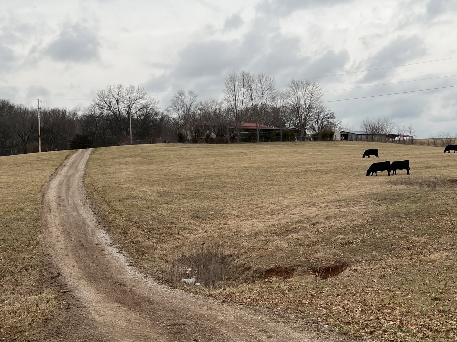 5954 Valley Road Springfield, TN 37172 - Photo 6 of 43