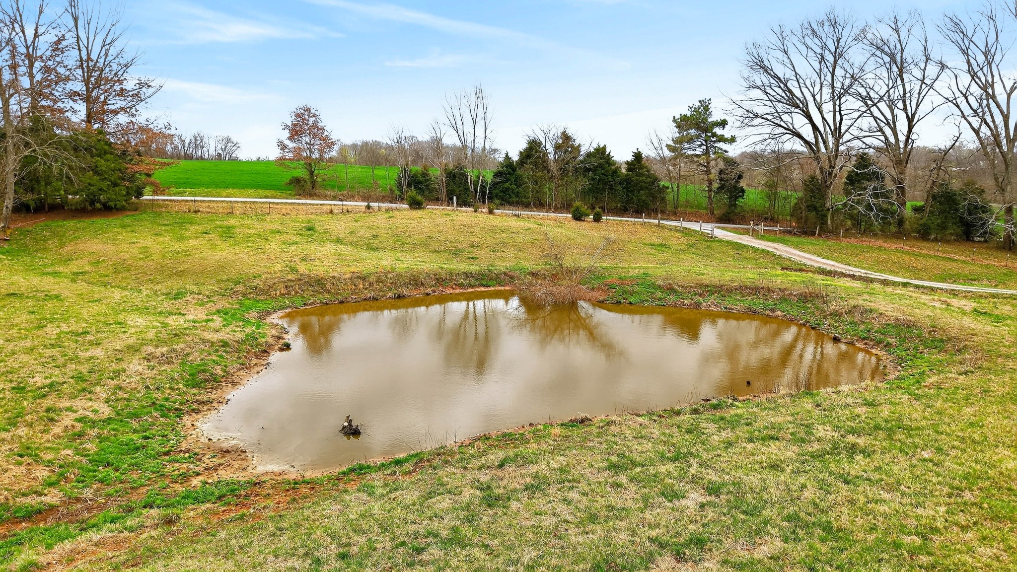 5954 Valley Road Springfield, TN 37172 - Photo 8 of 43