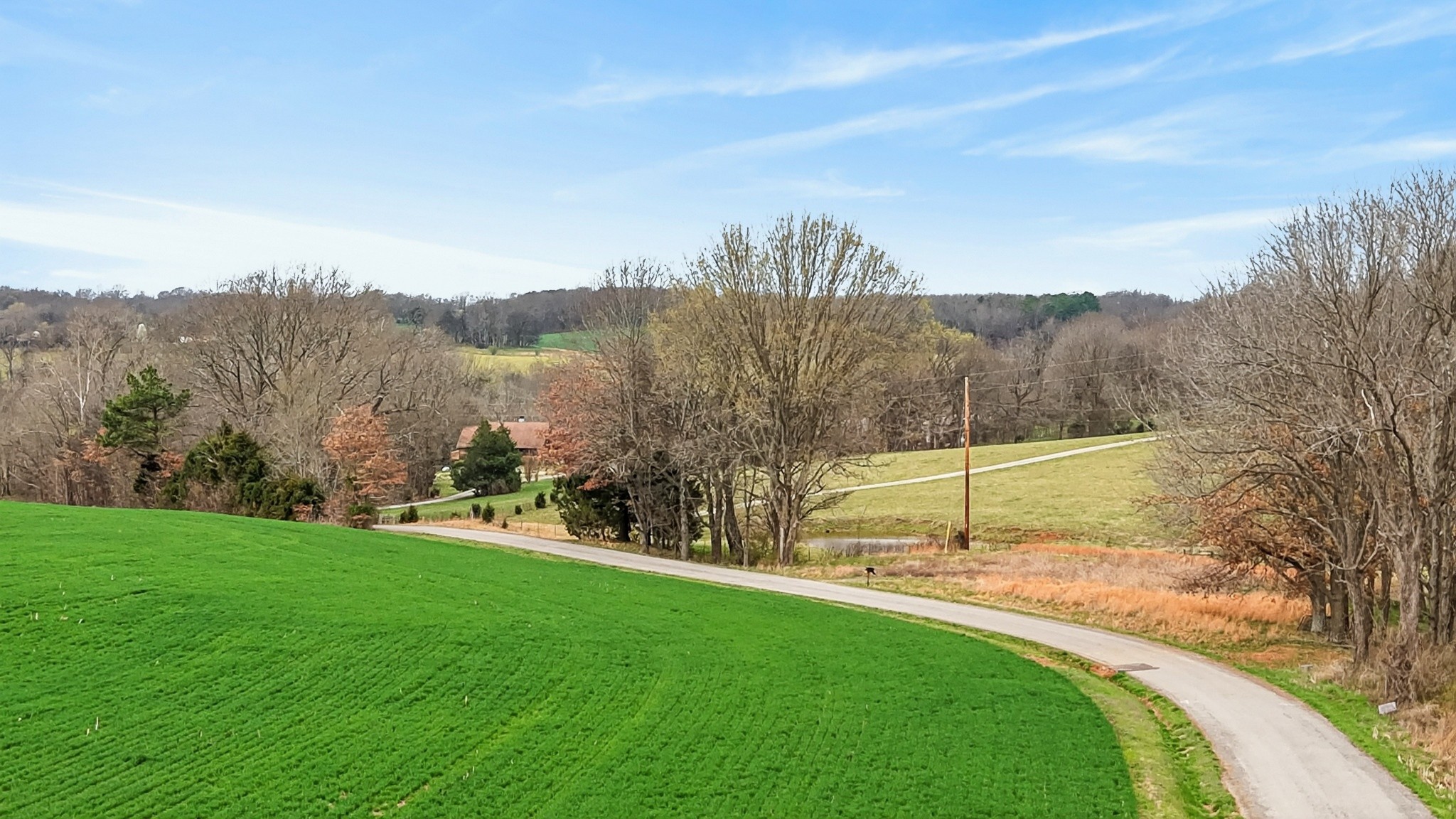 5954 Valley Road Springfield, TN 37172 - Photo 9 of 43