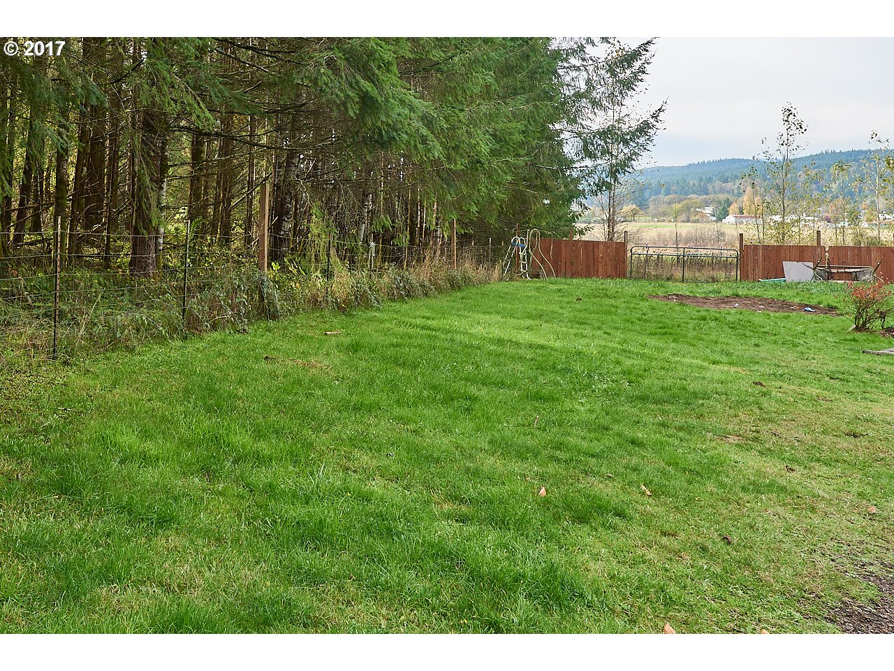 47765 Southwest Hebo Road Grand Ronde, OR 97347 - Photo 19 of 31 a view of a yard with a tree