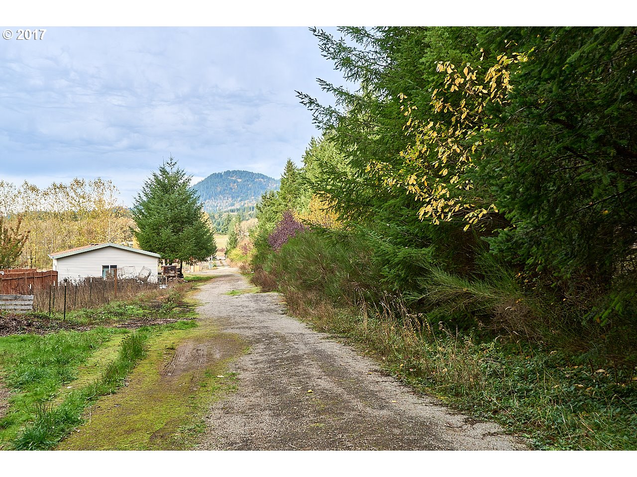 47765 Southwest Hebo Road Grand Ronde, OR 97347 - Photo 27 of 31 a view of a yard