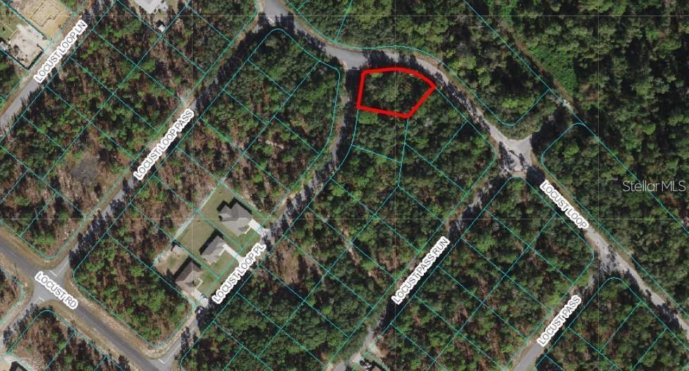 Tbd Locust Loop Place Ocala, FL 34472 - Photo 1 of 1 Gallery Image 1