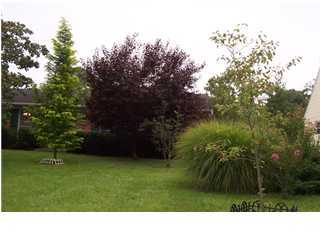 606 Stivers Road Louisville, KY 40207 - Photo 1 of 1 Primary Photo