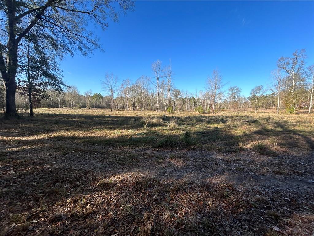 0 Boy Scout Road Forest Hill, LA 71430 - Photo 1 of 5 Gallery Image 1