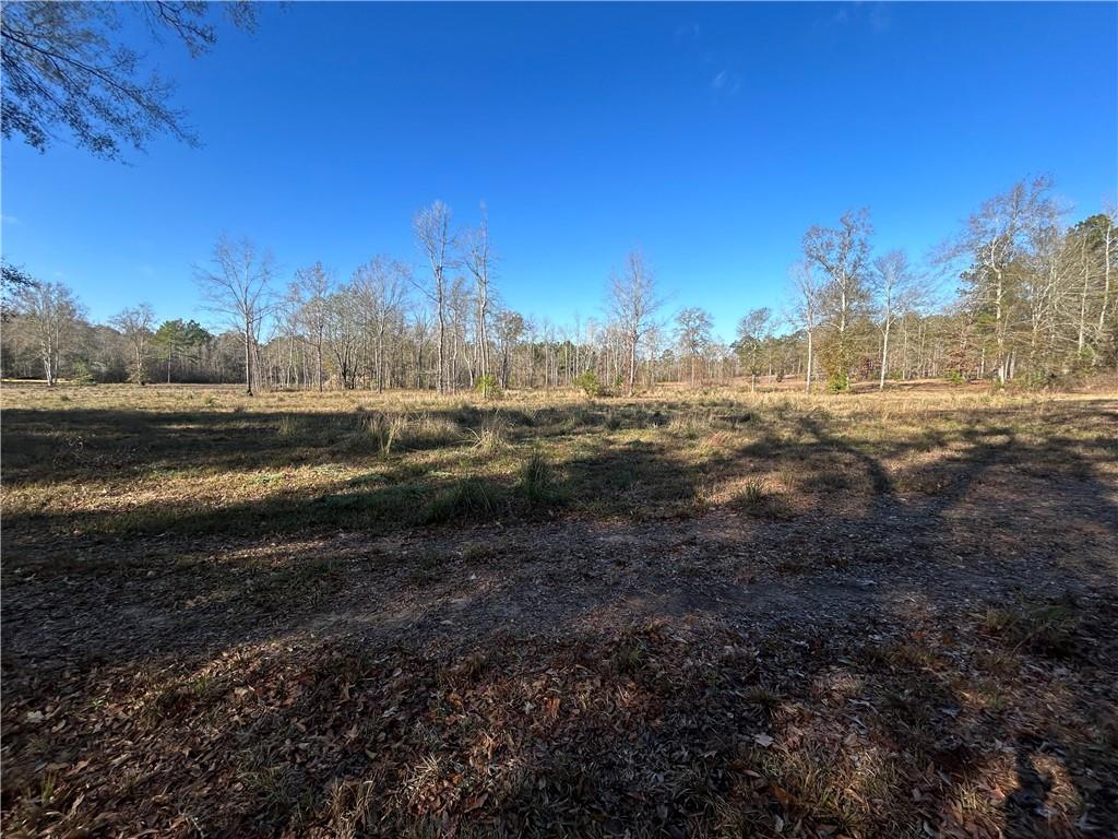 0 Boy Scout Road Forest Hill, LA 71430 - Photo 3 of 5 Gallery Image 3