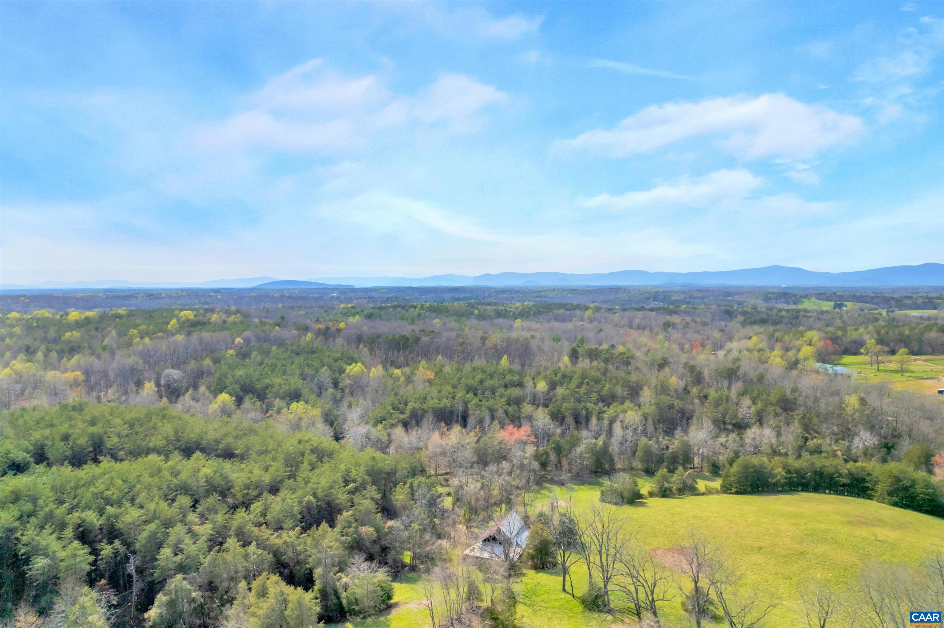 6088 Blue Run Road Somerset, VA 22972 - Photo 54 of 75 Forest