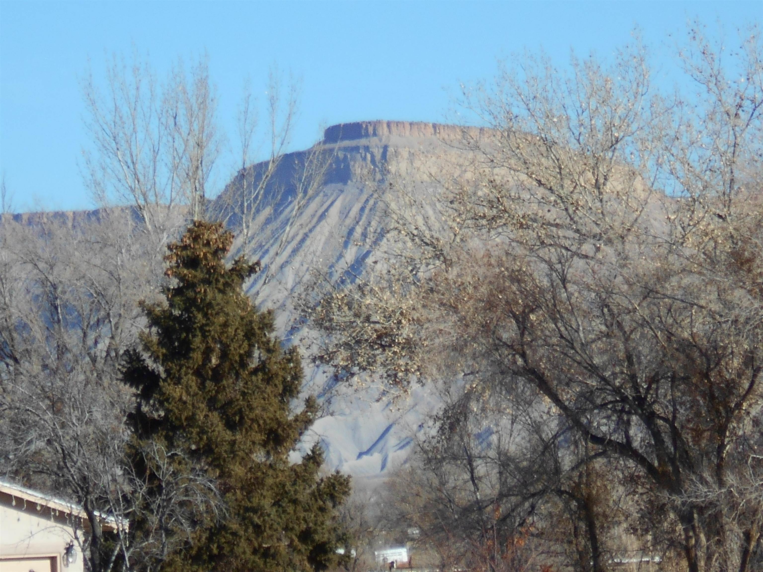 3225 B B 1/2 Road Grand Junction, CO 81503 - Photo 15 of 24 Gallery Image 15