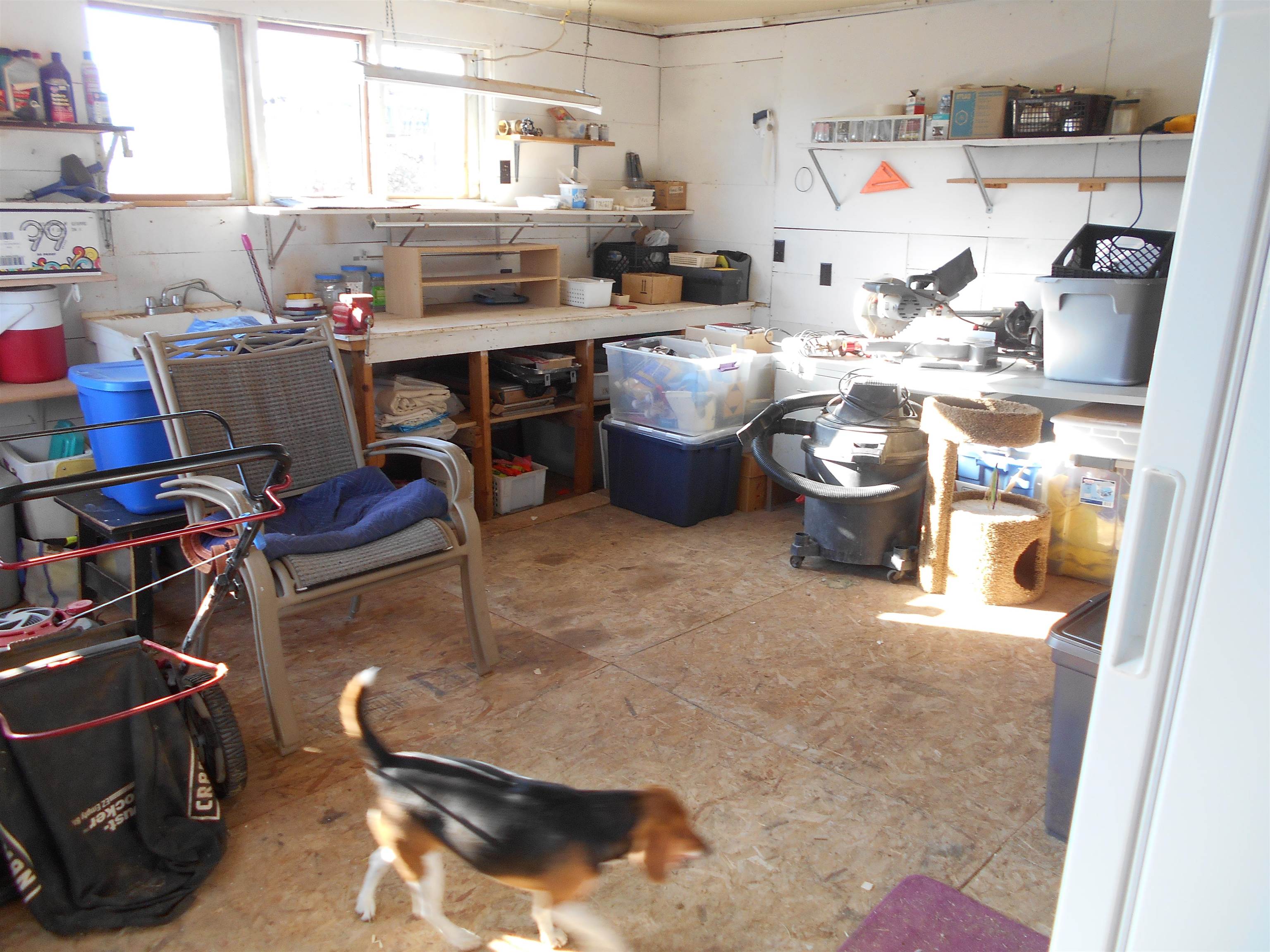 3225 B B 1/2 Road Grand Junction, CO 81503 - Photo 5 of 24 Gallery Image 5