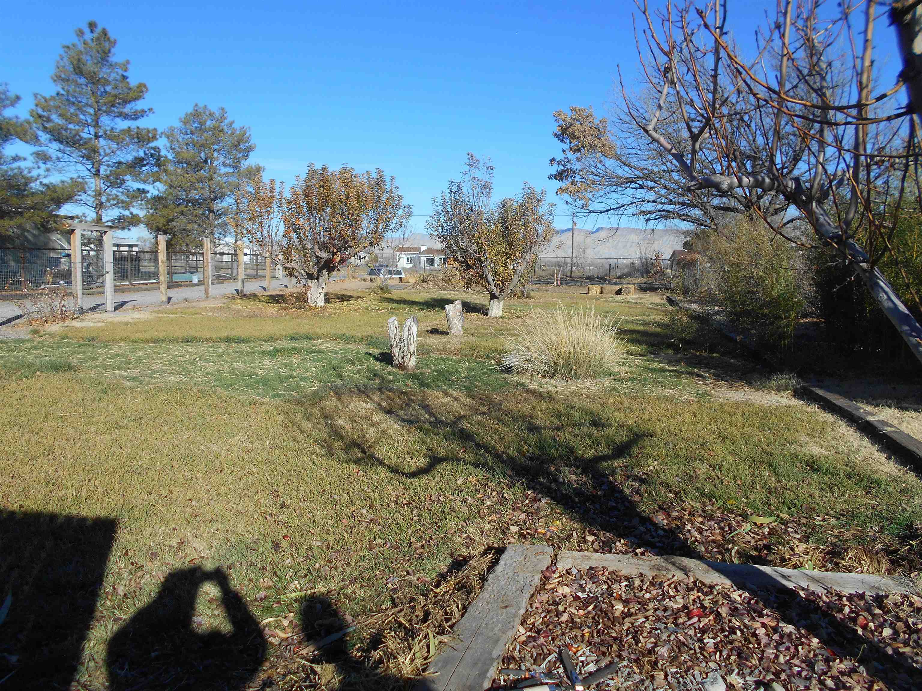 3225 B B 1/2 Road Grand Junction, CO 81503 - Photo 6 of 24 Gallery Image 6