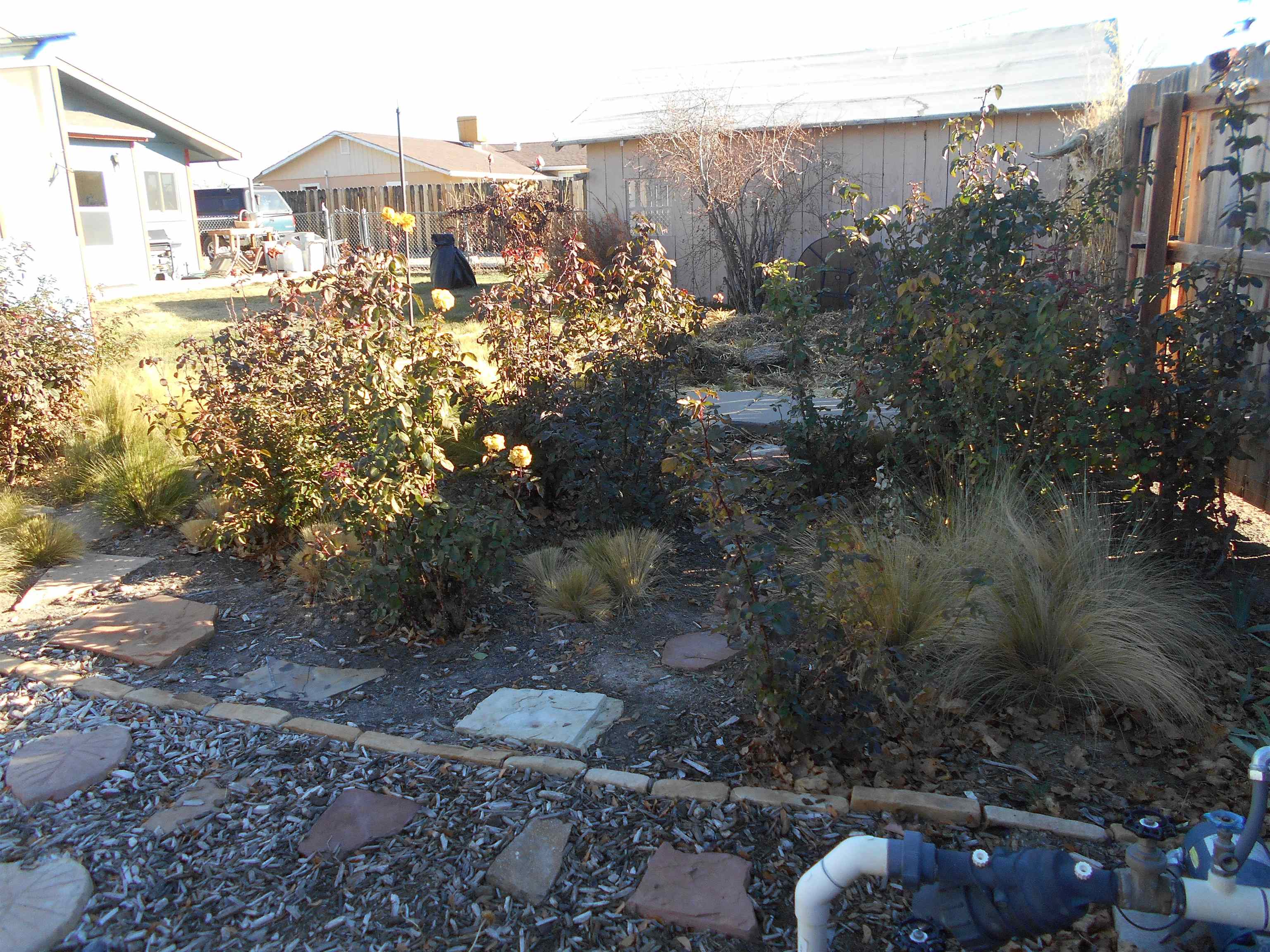 3225 B B 1/2 Road Grand Junction, CO 81503 - Photo 9 of 24 Gallery Image 9