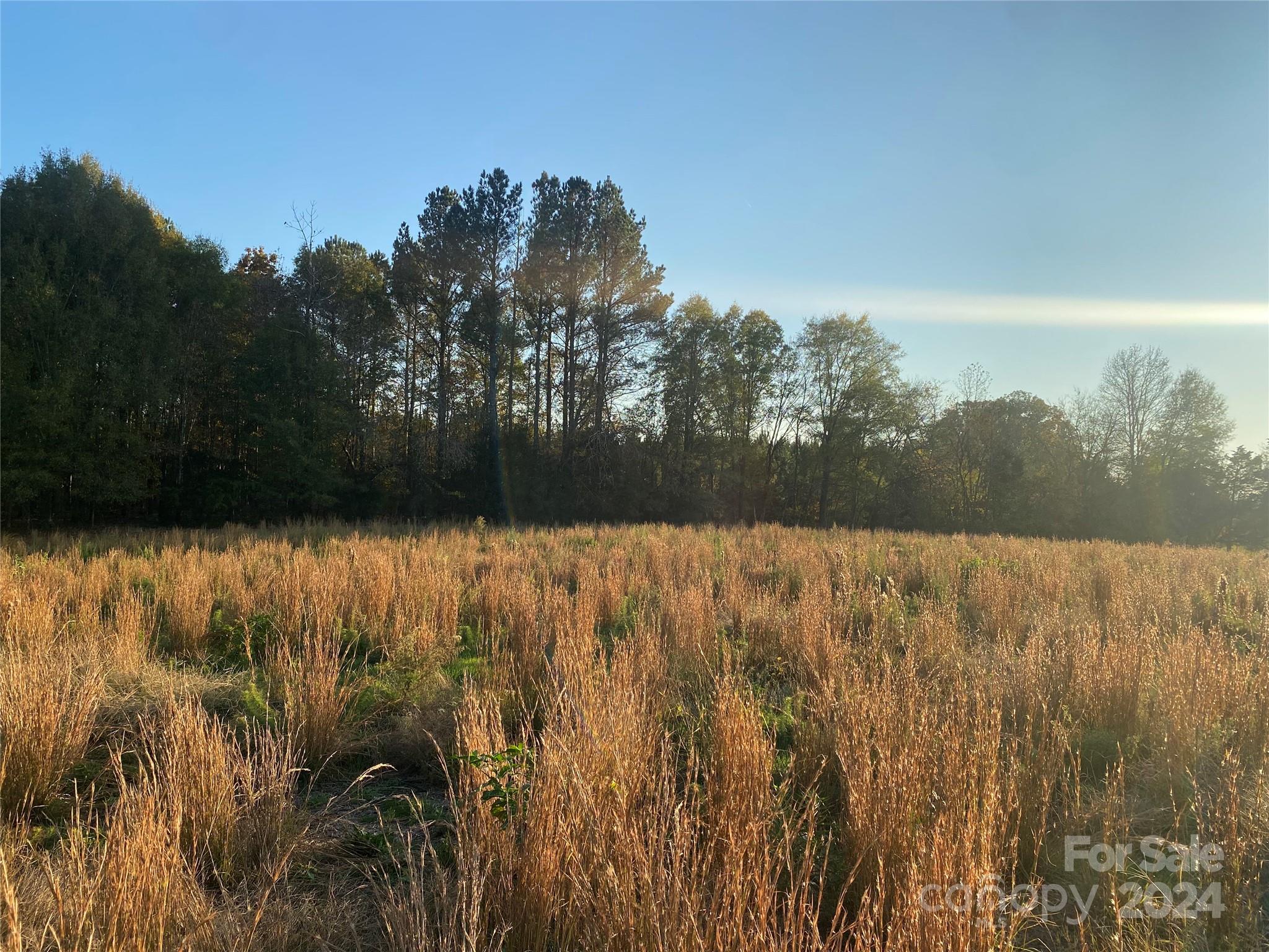 Vacant Biles Road, Unit 2 Albemarle, NC 28001 - Photo 1 of 1 Gallery Image 1