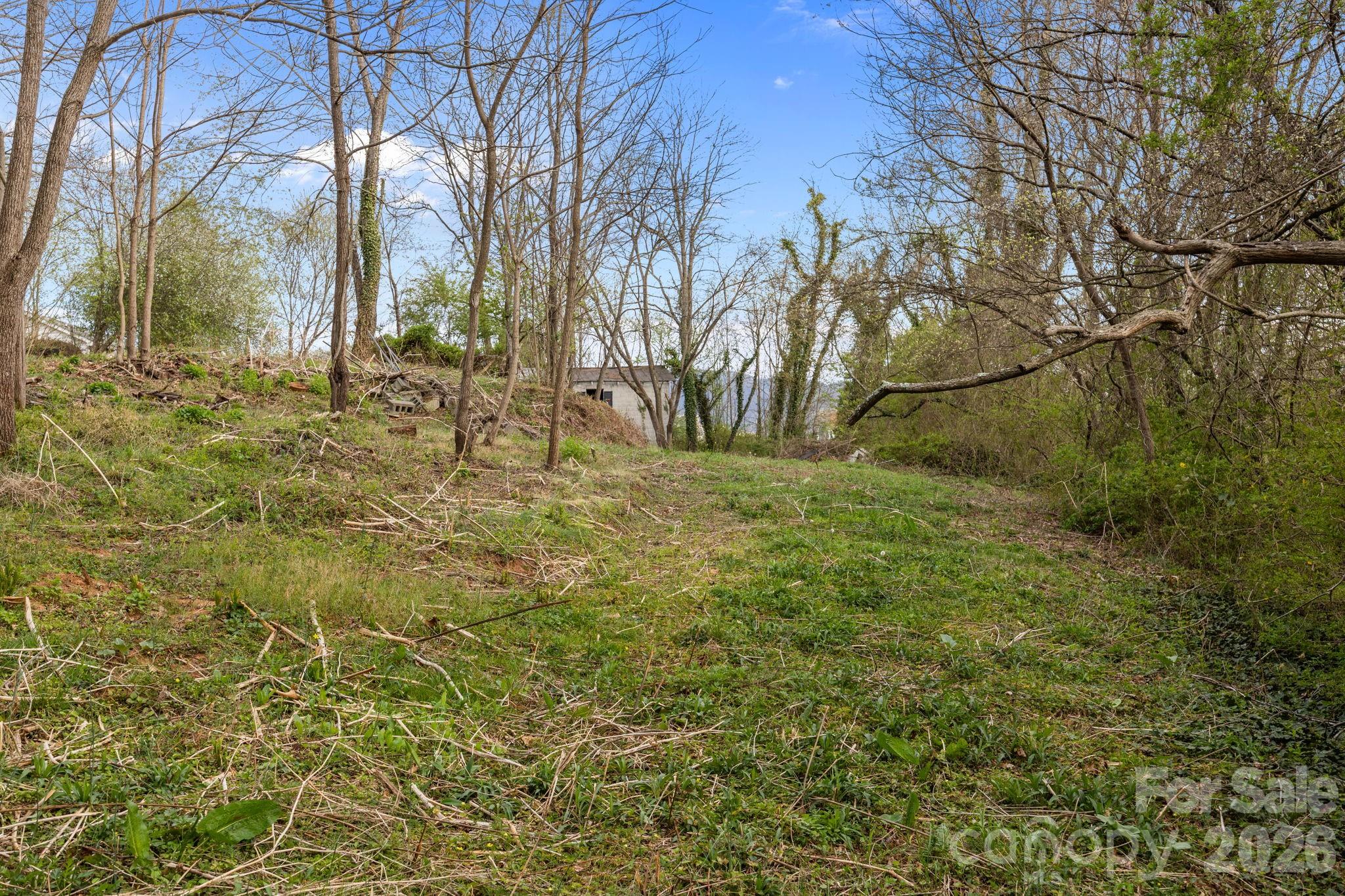 161 Pandora Circle Canton, NC 28716 - Photo 14 of 29