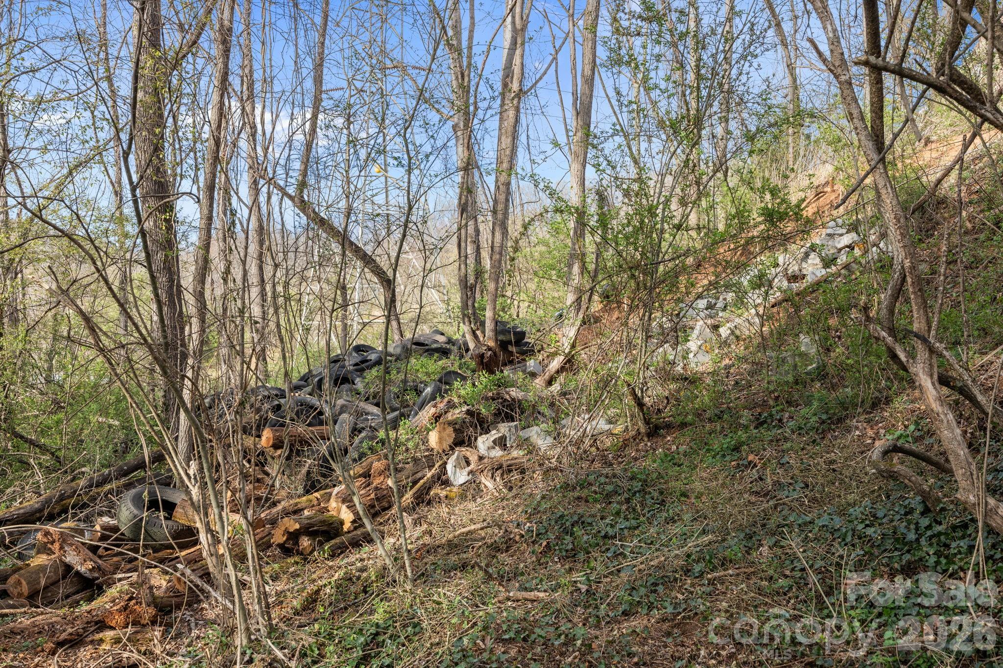 161 Pandora Circle Canton, NC 28716 - Photo 28 of 29