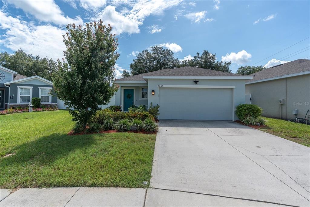 8867 Prairie Creek Drive Trinity, FL 34655 - Photo 35 of 38