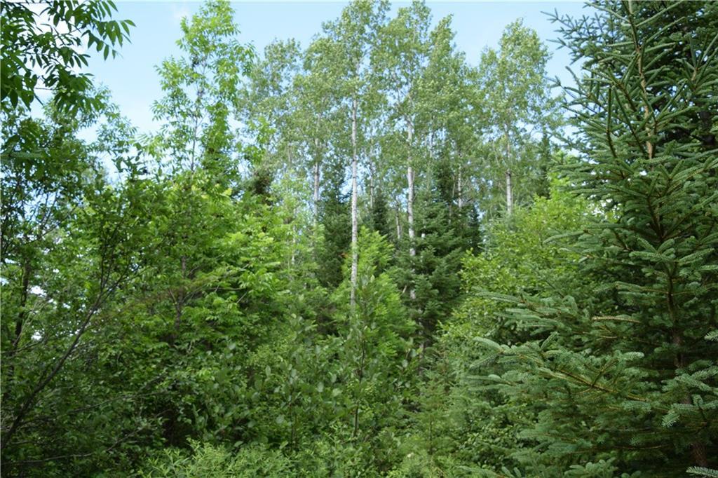 0 Jemtland Road Caribou, ME 04736 - Photo 2 of 17 Maine Land for Sale in Connor TWP