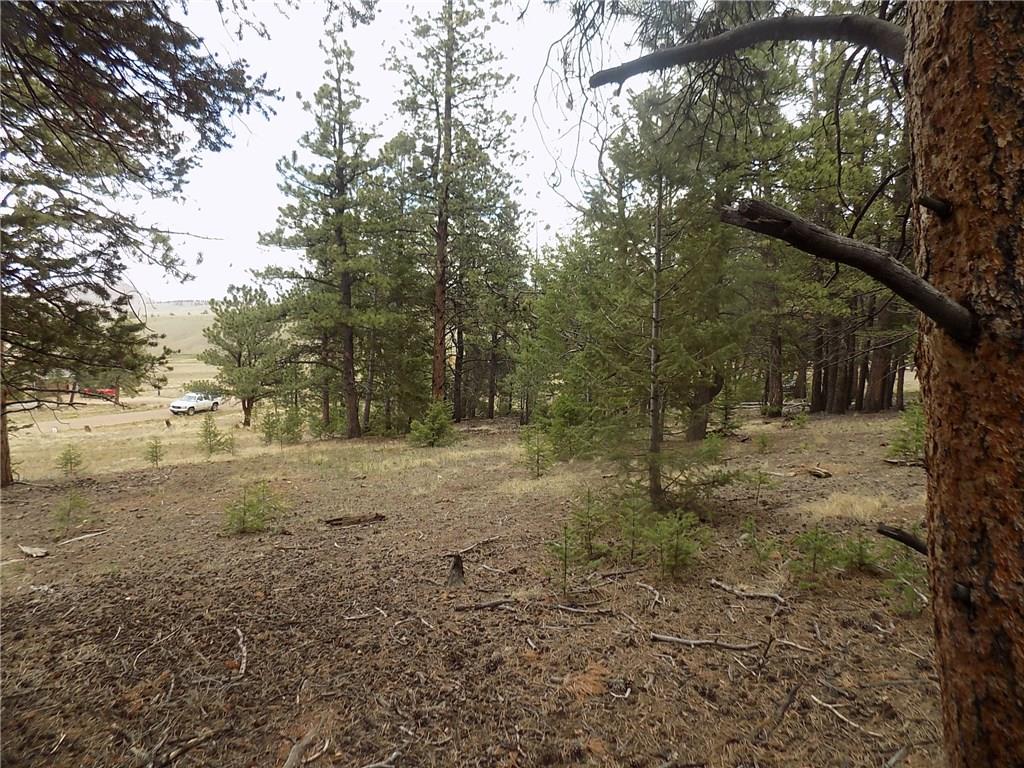 3722 Campfire Road Hartsel, CO 80449 - Photo 11 of 15 a view of dirt yard with a tree