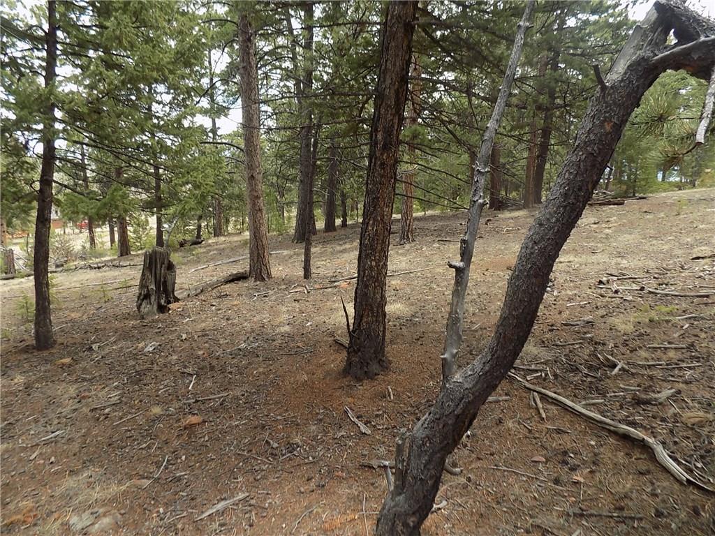 3722 Campfire Road Hartsel, CO 80449 - Photo 12 of 15 a view of outdoor space