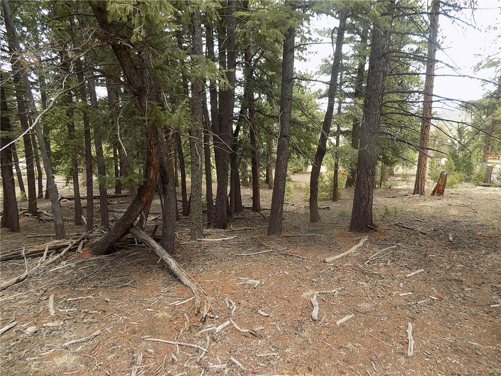3722 Campfire Road Hartsel, CO 80449 - Photo 13 of 15 a view of outdoor space with lots of trees