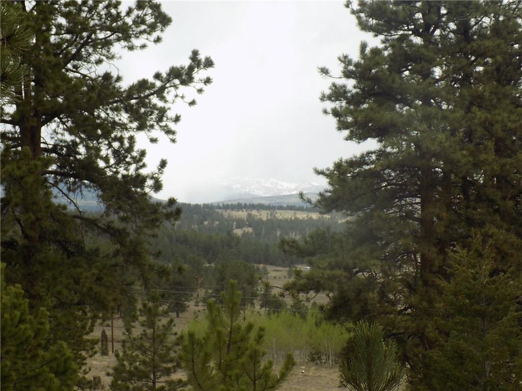 3722 Campfire Road Hartsel, CO 80449 - Photo 3 of 15 a view of a lake with a tree