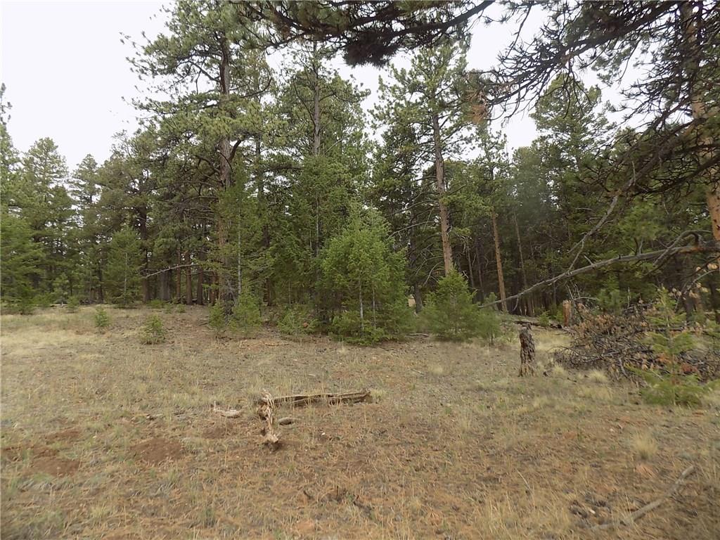 3722 Campfire Road Hartsel, CO 80449 - Photo 4 of 15 a view of a yard with a tree