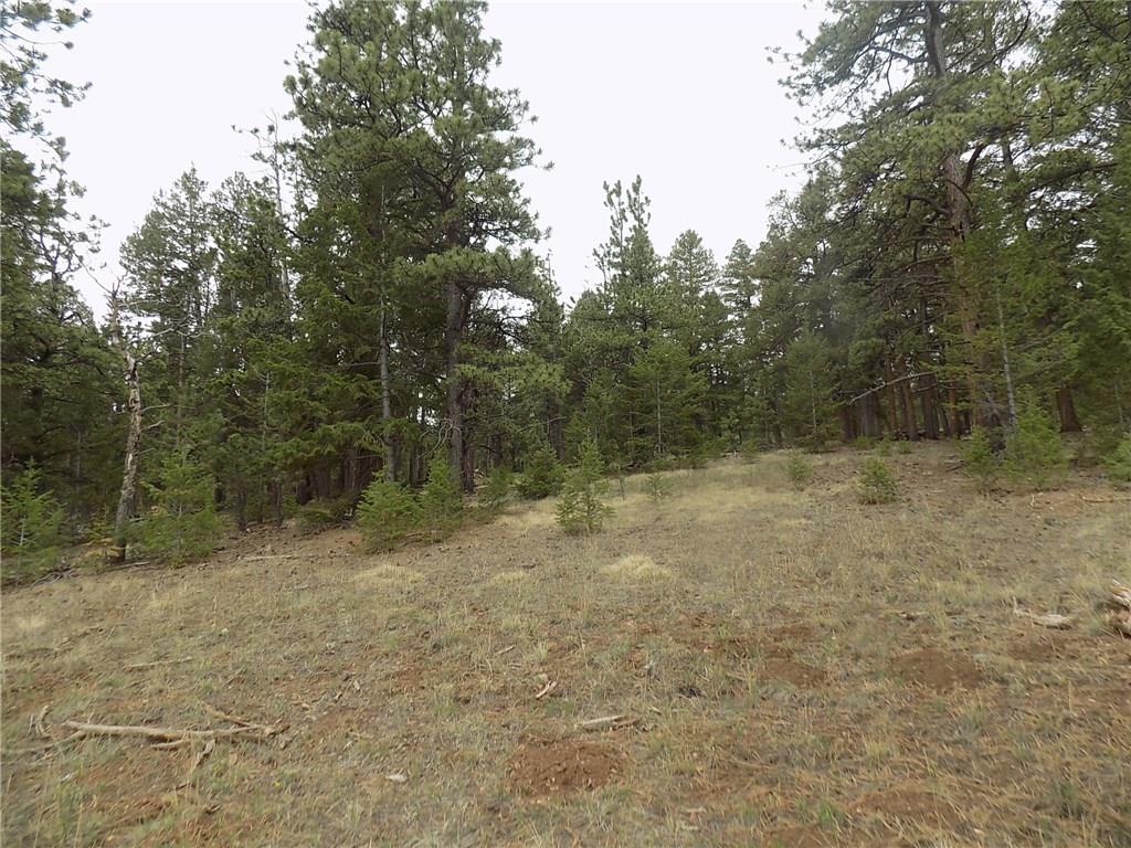 3722 Campfire Road Hartsel, CO 80449 - Photo 5 of 15 a view of a yard with a tree