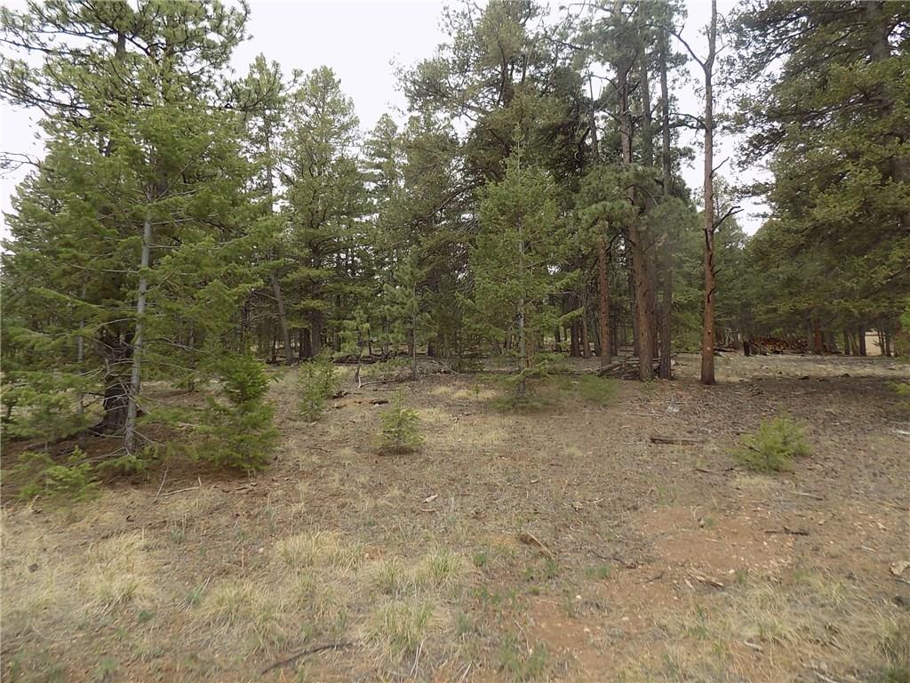 3722 Campfire Road Hartsel, CO 80449 - Photo 6 of 15 a view of open space with trees