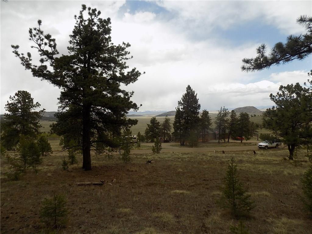 3722 Campfire Road Hartsel, CO 80449 - Photo 7 of 15 a view of large trees with a yard