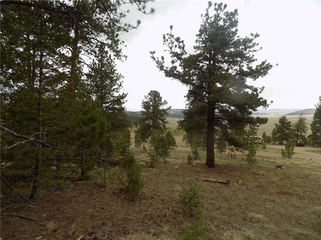 3722 Campfire Road Hartsel, CO 80449 - Photo 8 of 15 a view of outdoor space with green field and trees