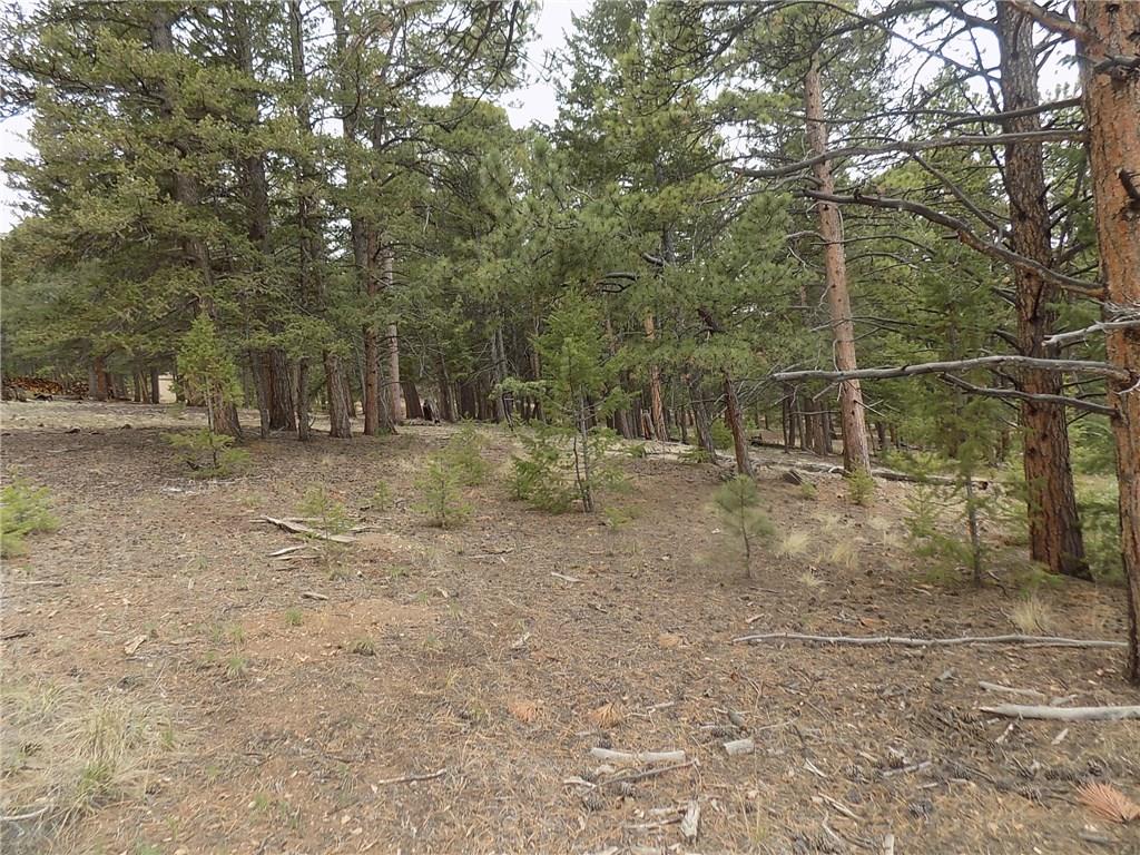 3722 Campfire Road Hartsel, CO 80449 - Photo 9 of 15 a backyard of a house with lots of green space