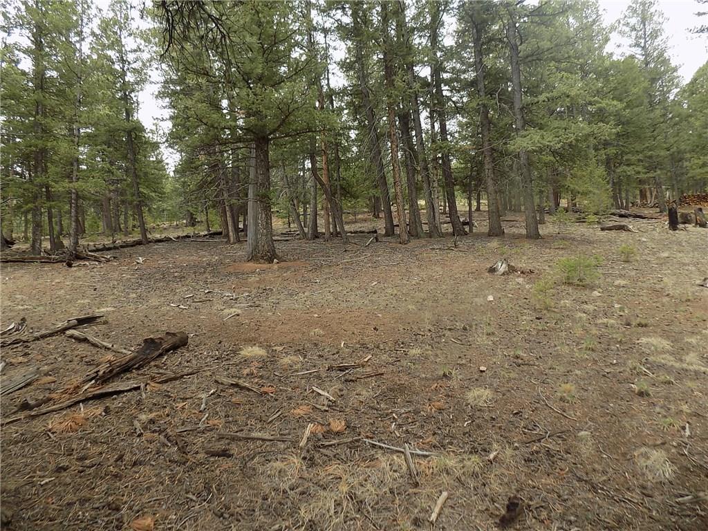3722 Campfire Road Hartsel, CO 80449 - Photo 10 of 15 a view of outdoor space with trees