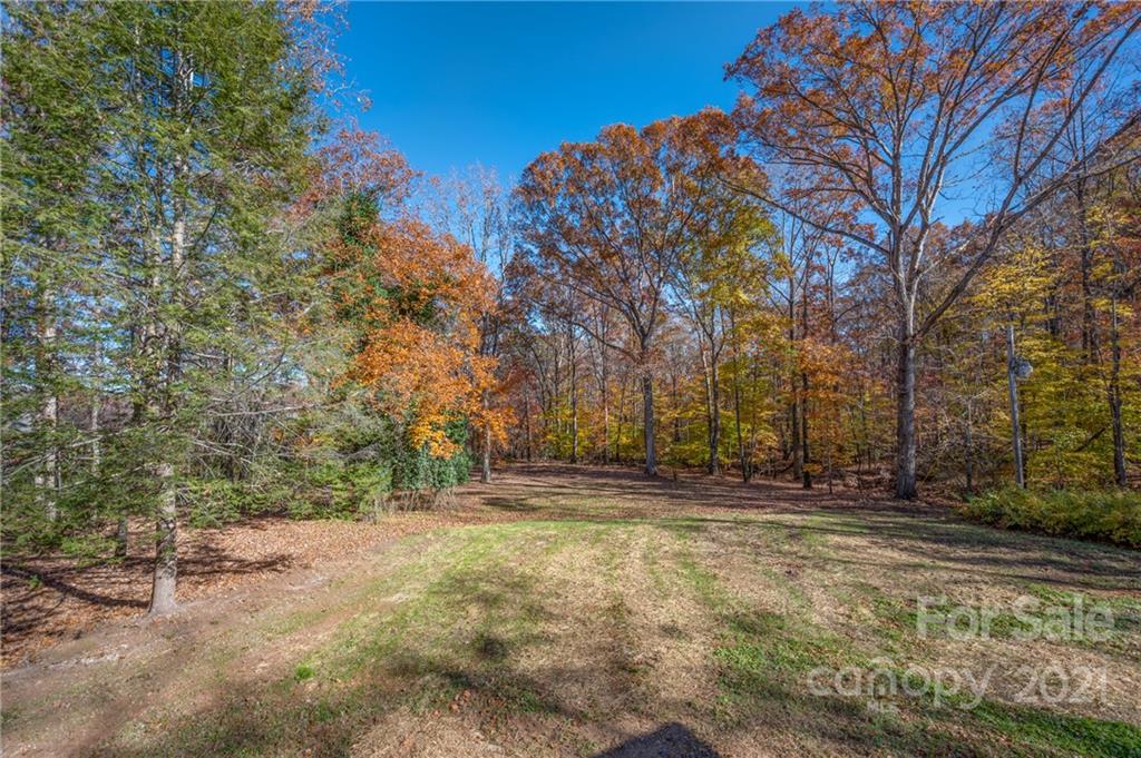 438 Gilbert Road Columbus, NC 28722 - Photo 24 of 46 a view of outdoor space with trees