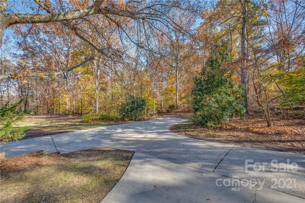 438 Gilbert Road Columbus, NC 28722 - Photo 38 of 46 a view of a yard with plants and trees