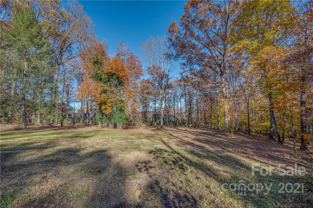 438 Gilbert Road Columbus, NC 28722 - Photo 42 of 46 a view of dirt yard with large trees