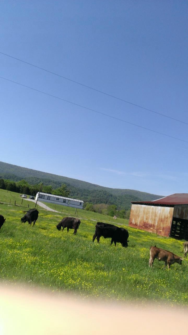 693 Doc Hill Road Rutledge, TN 37861 - Photo 1 of 9 image