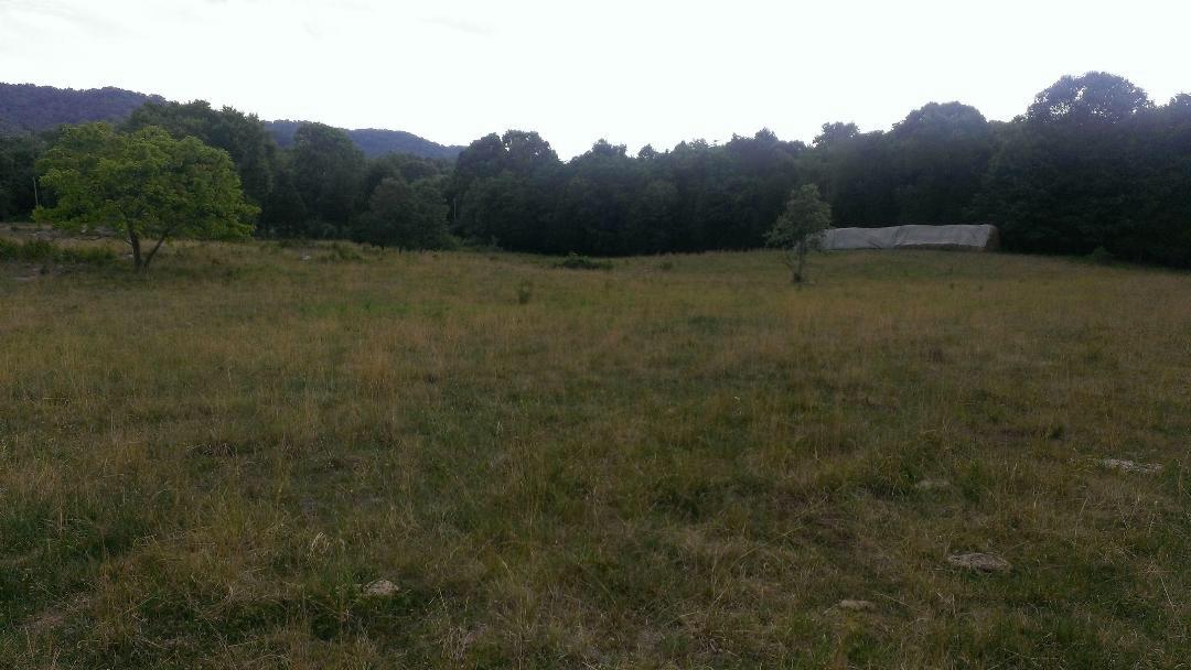 693 Doc Hill Road Rutledge, TN 37861 - Photo 3 of 9 image