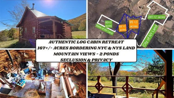 $500,000 | 781 Charcoal Road, Roxbury, NY 12167