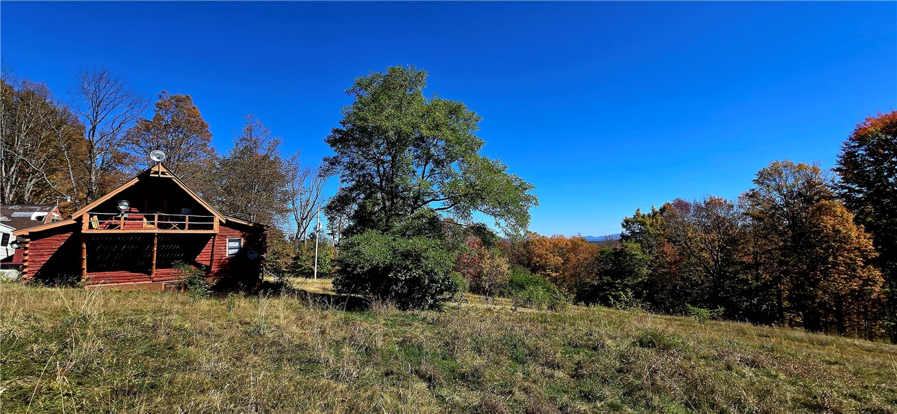 781 Charcoal Road Roxbury, NY 12167 - Photo 11 of 49