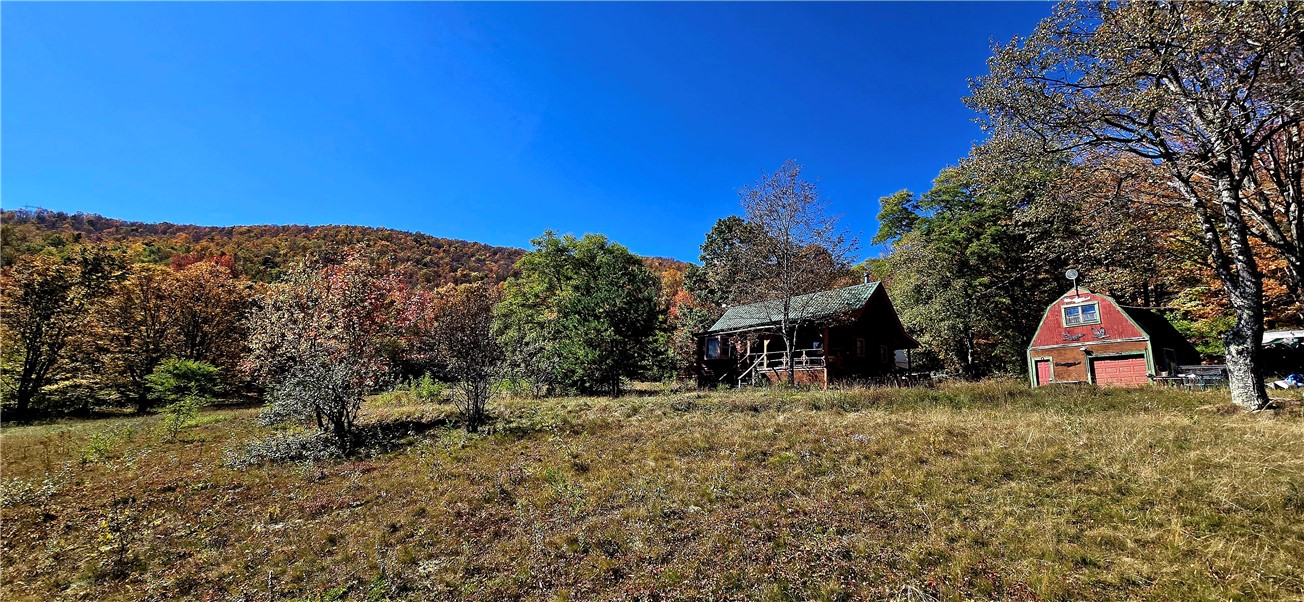 781 Charcoal Road Roxbury, NY 12167 - Photo 12 of 49