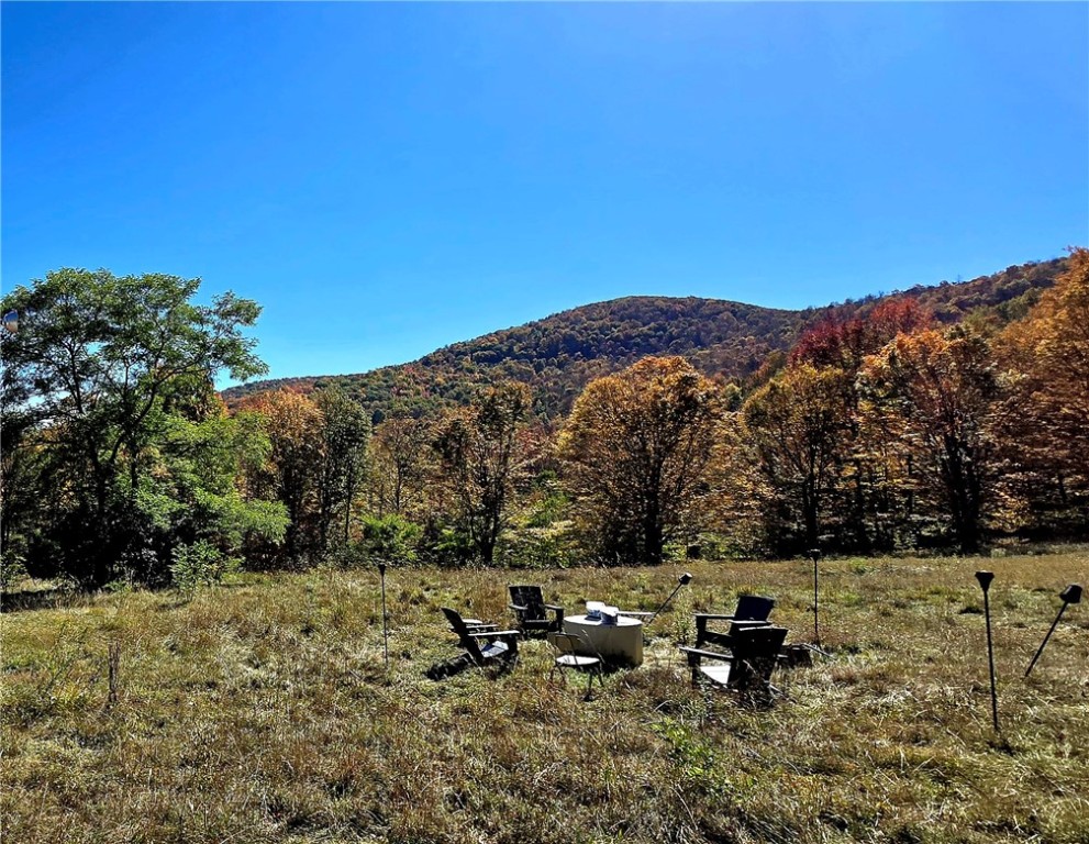 781 Charcoal Road Roxbury, NY 12167 - Photo 13 of 49