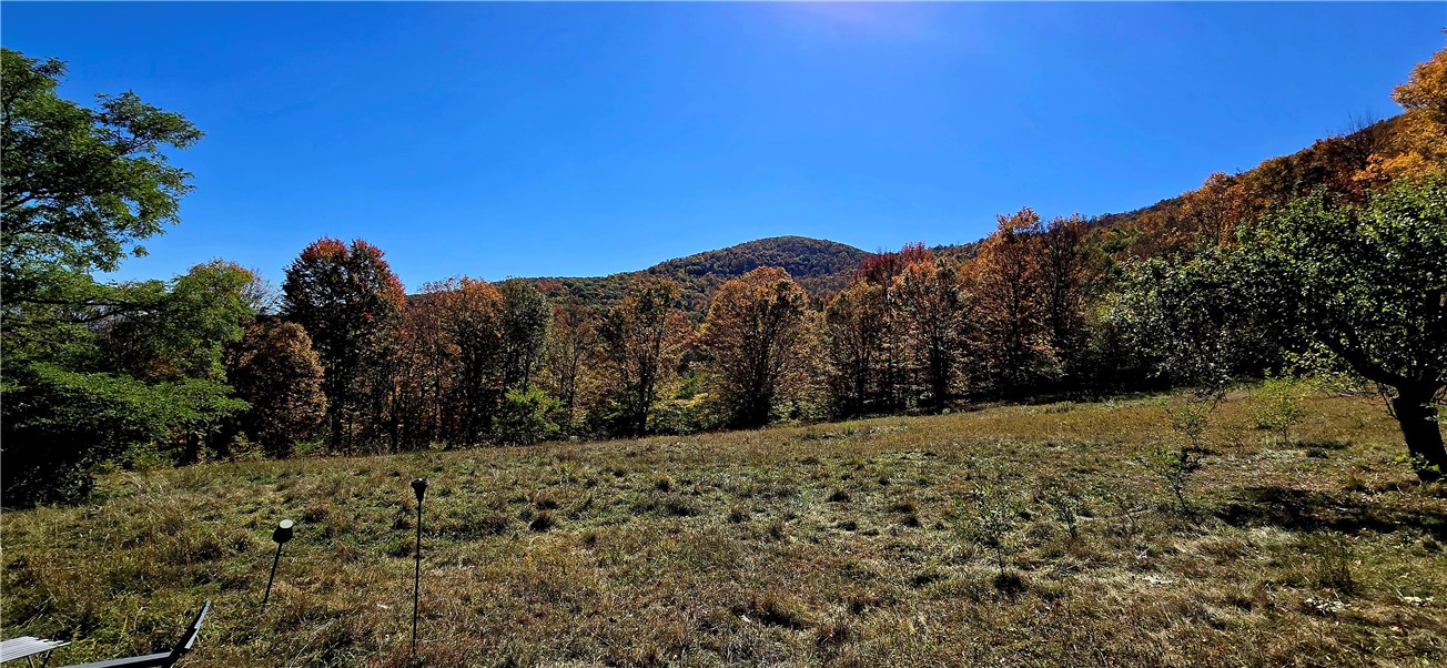 781 Charcoal Road Roxbury, NY 12167 - Photo 14 of 49