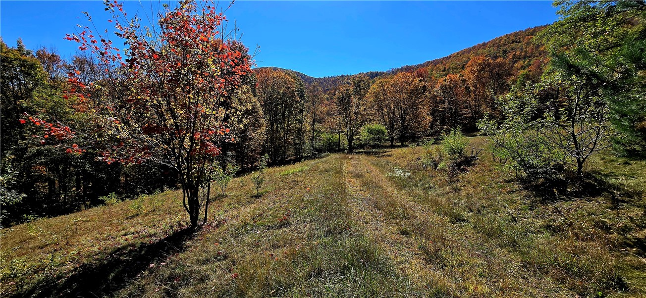 781 Charcoal Road Roxbury, NY 12167 - Photo 15 of 49