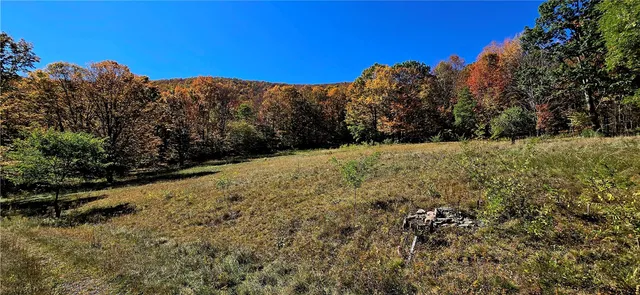 $500,000 | 781 Charcoal Road, Roxbury, NY 12167