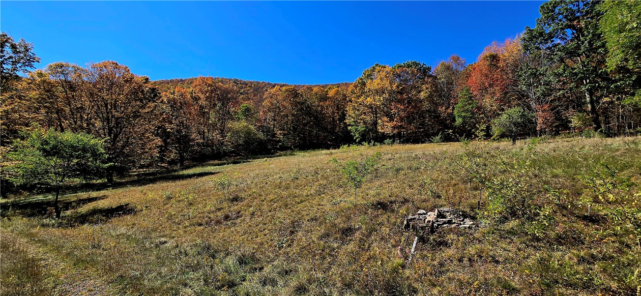 781 Charcoal Road Roxbury, NY 12167 - Photo 16 of 49