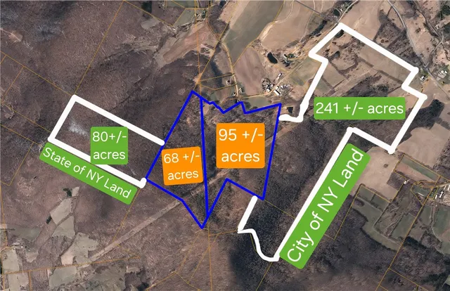 $500,000 | 781 Charcoal Road, Roxbury, NY 12167