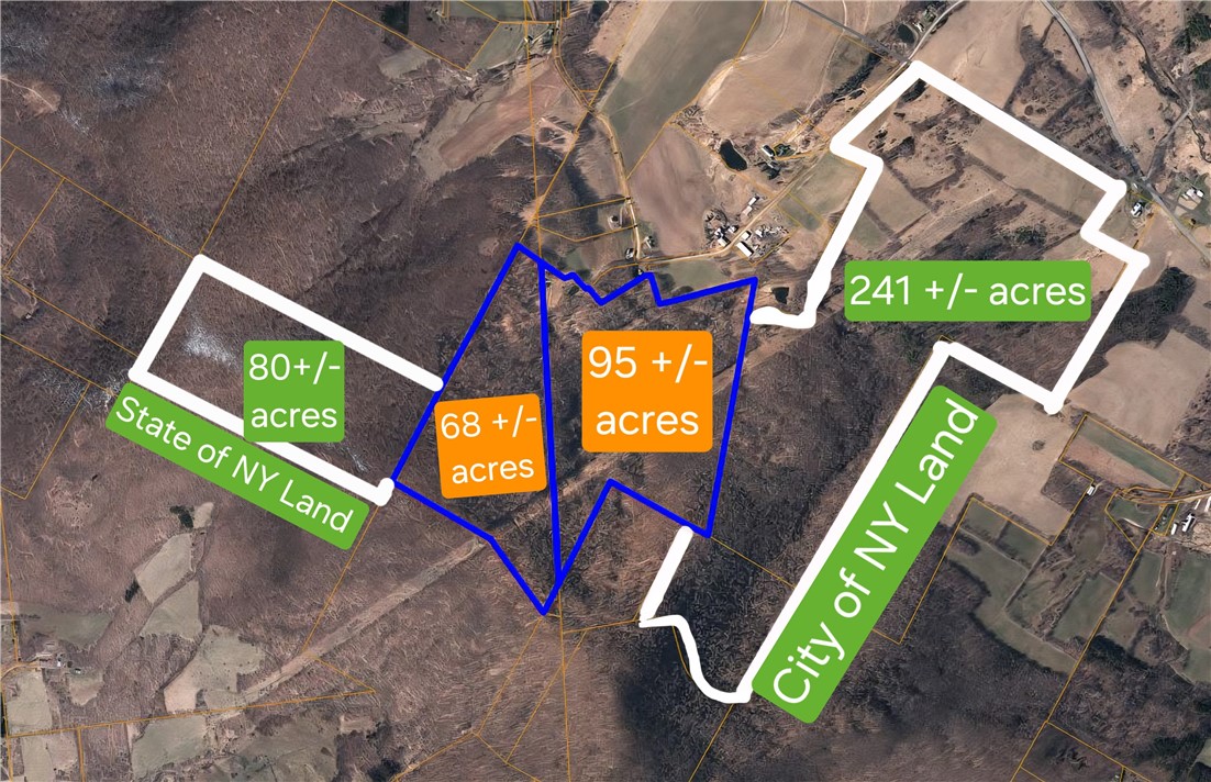 781 Charcoal Road Roxbury, NY 12167 - Photo 2 of 49