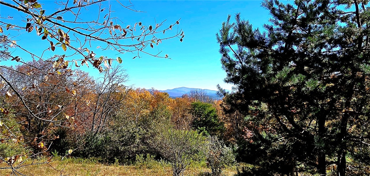 781 Charcoal Road Roxbury, NY 12167 - Photo 3 of 49